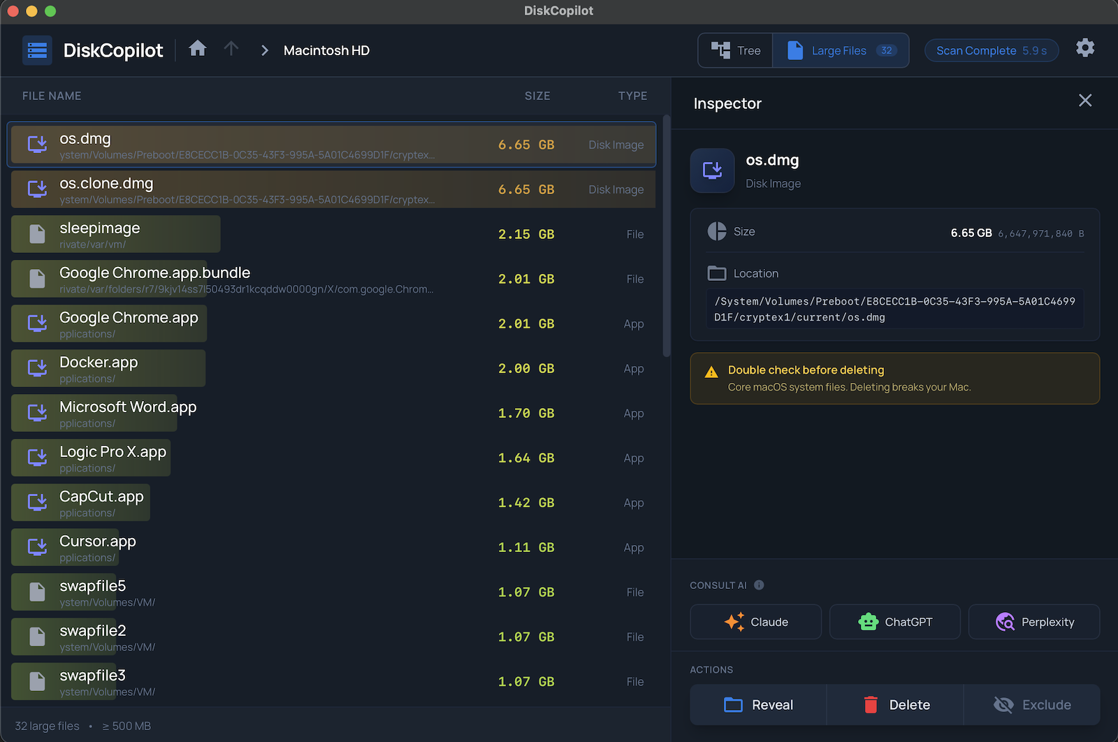 DiskCopilot large file search showing biggest files on disk